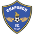 Goiania crest