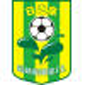 Guangdong Fc crest