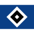 Hamburger Sv U19 crest