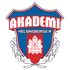 Helsingborgs If Akademi crest