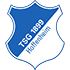 Hoffenheim crest