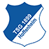 Hoffenheim U19 crest