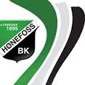 Honefoss crest