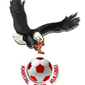 Kartalspor crest