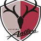 Kashima Antlers crest