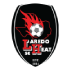 Laredo Heat crest