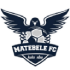 Matebele Fc crest