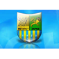 Metalist Kharkiv crest