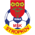Msk Tesla Stropkov crest