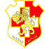 Naxxar Lions Fc crest