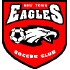 New Town Eagles crest