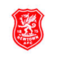 Newtown Afc crest