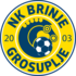 Nk Brinje Grosuplje crest