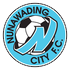 Nunawading City Fc crest
