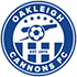 Oakleigh Cannons crest