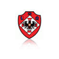 Oliveirense crest