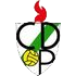 Pamplona crest