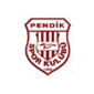 Pendikspor crest