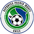 Puerto Montt crest
