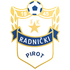 Radnicki Pirot crest