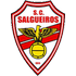 Salgueiros crest