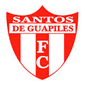 Santos De Guapiles crest