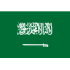 Saudi Arabia U17 crest