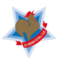 Shanghai Shenxin Fc crest
