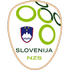 Slovenia U17 crest