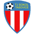Sokol Tasovice crest