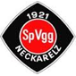 Spvgg Neckarelz crest