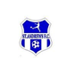 St. Andrews Fc crest