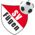 Sv Fuegen crest