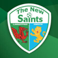 The New Saints crest