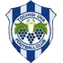 Tochigi City Fc crest