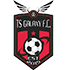 Ts Galaxy crest