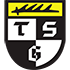Tsg Balingen crest