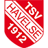 Tsv Havelse U19 crest