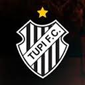 Tupi crest