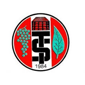 Turgutluspor crest