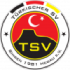 Turkischer Sv Singen crest