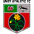 Undy Athletic crest