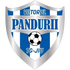 Viitorul Pandurii Targu Jiu crest