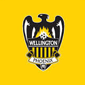 Wellington Phoenix crest