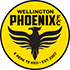 Wellington Phoenix B crest