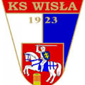 Wisla Plock crest