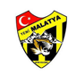 Yeni Malatyaspor crest